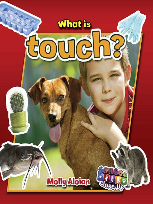 Title details for What is touch? by Molly Aloian - Available